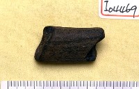 藏品(鹿角)的圖片